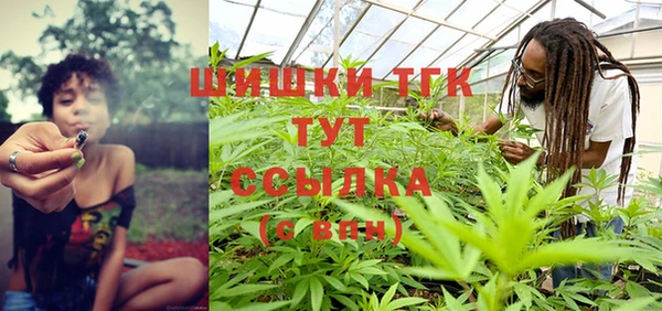 Альфа ПВП Гусев