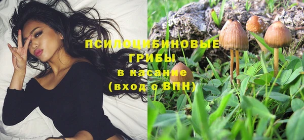Альфа ПВП Гусев