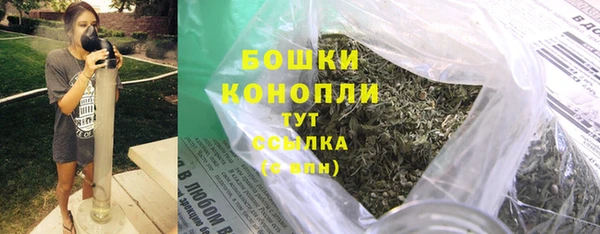 Альфа ПВП Гусев